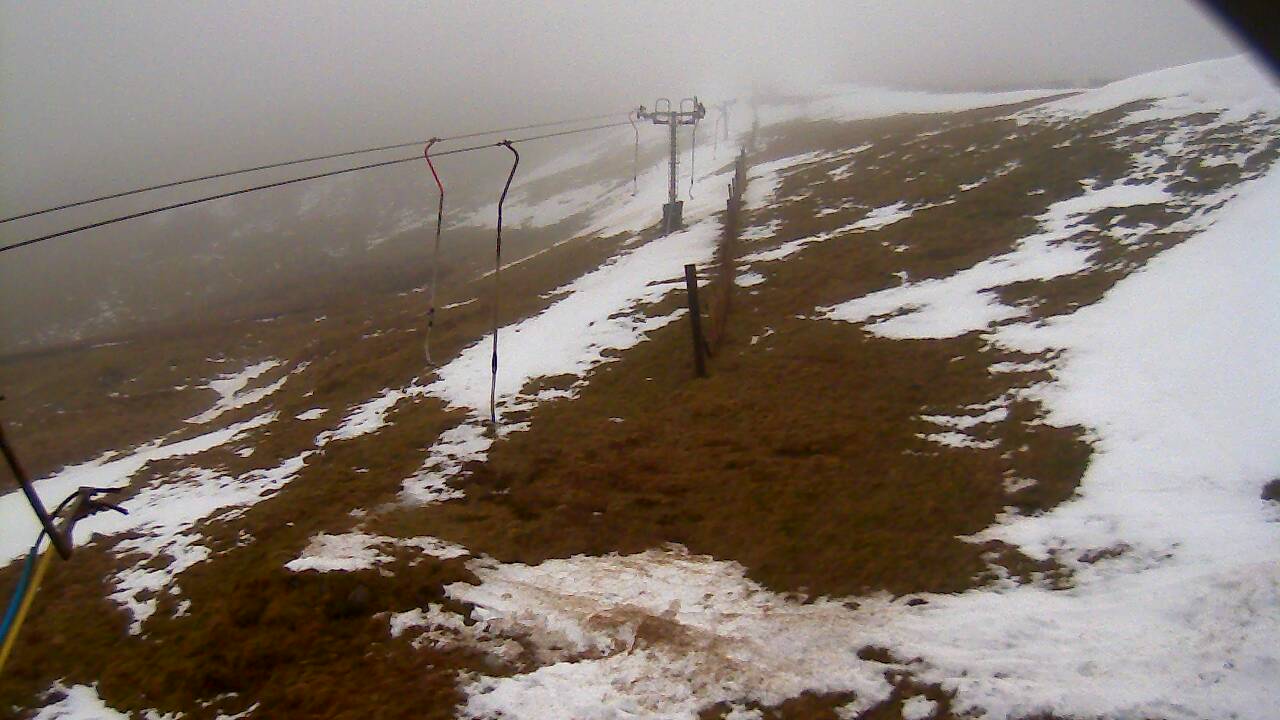 Image from 2022/02/28 for Tow Hut