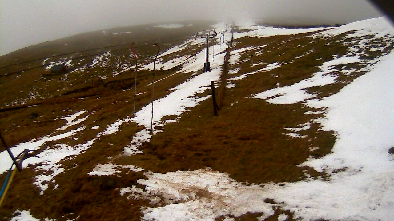 Latest image from 2022/02 for Tow Hut