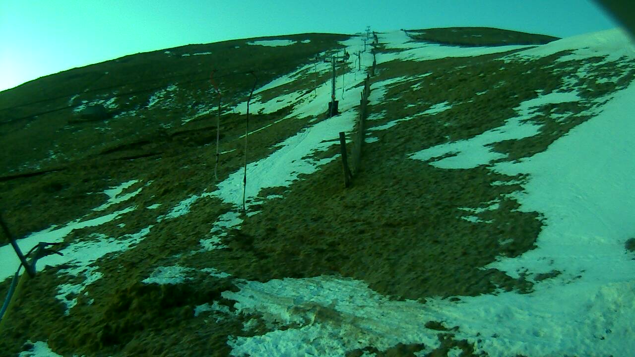 Image from 2022/03/01 for Tow Hut