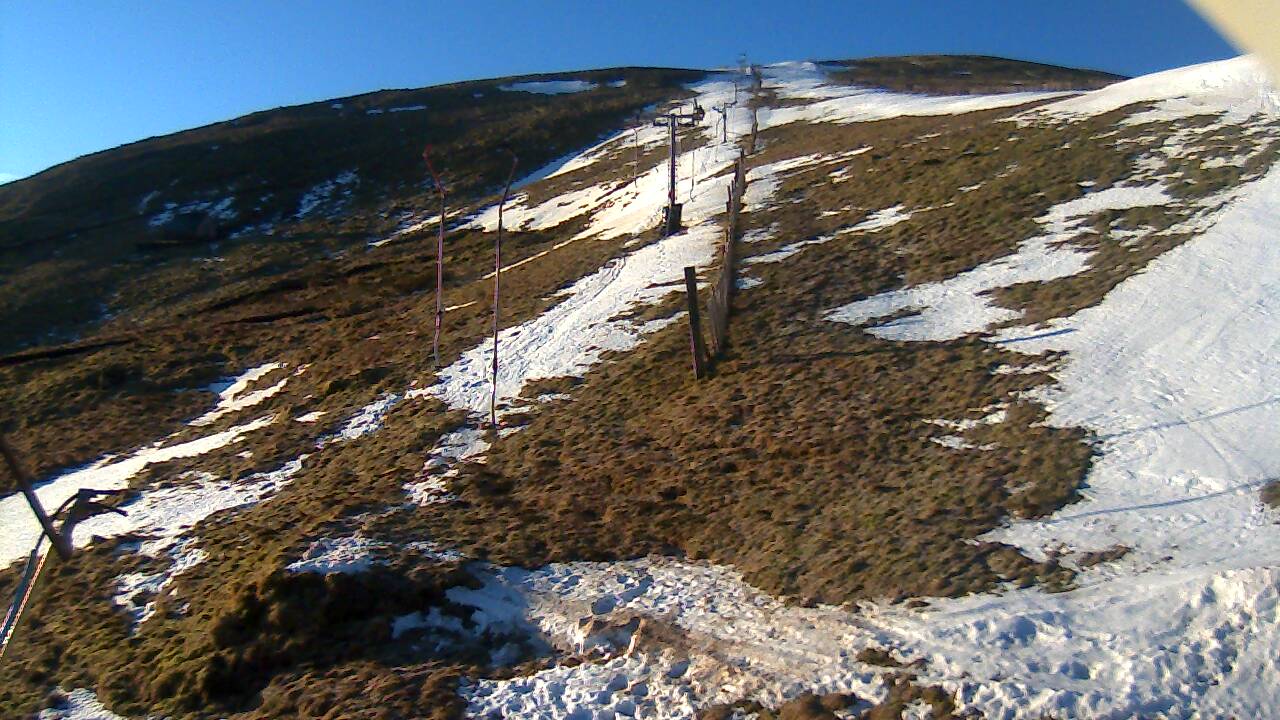 Image from 2022/03/01 for Tow Hut