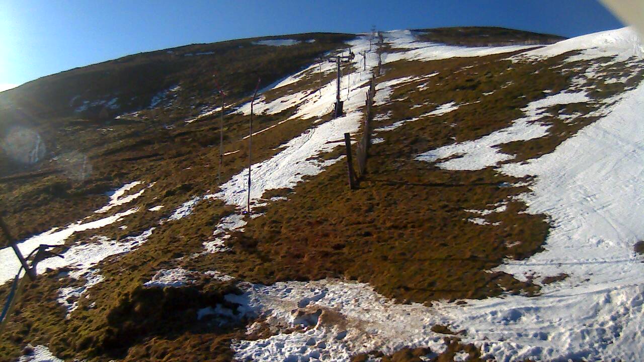 Image from 2022/03/01 for Tow Hut