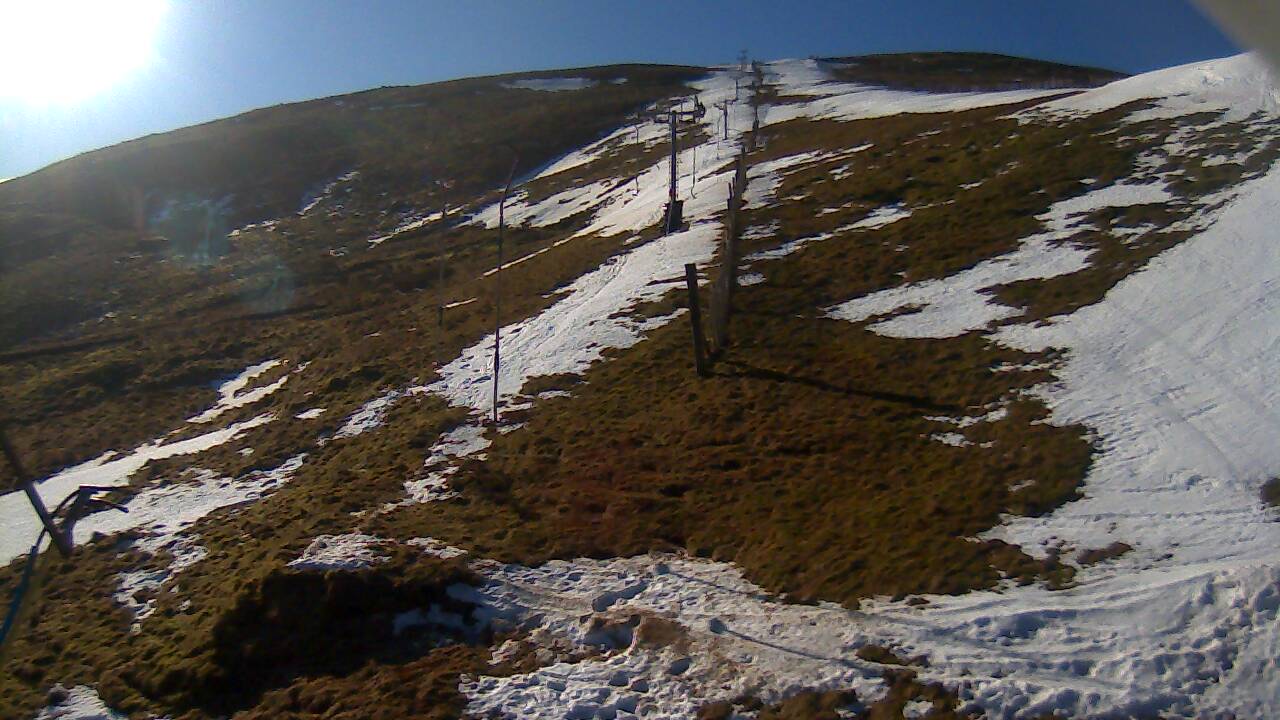 Image from 2022/03/01 for Tow Hut