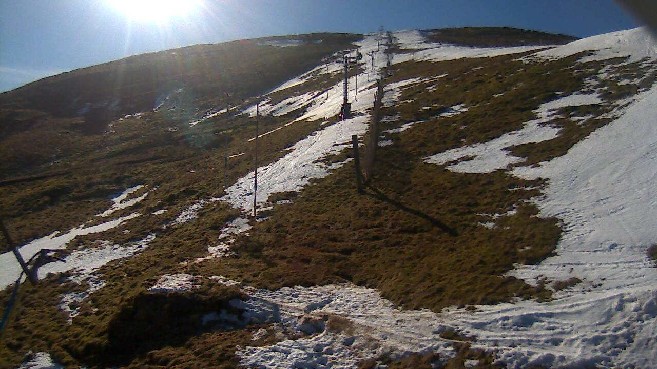 Image from 2022/03/01 for Tow Hut