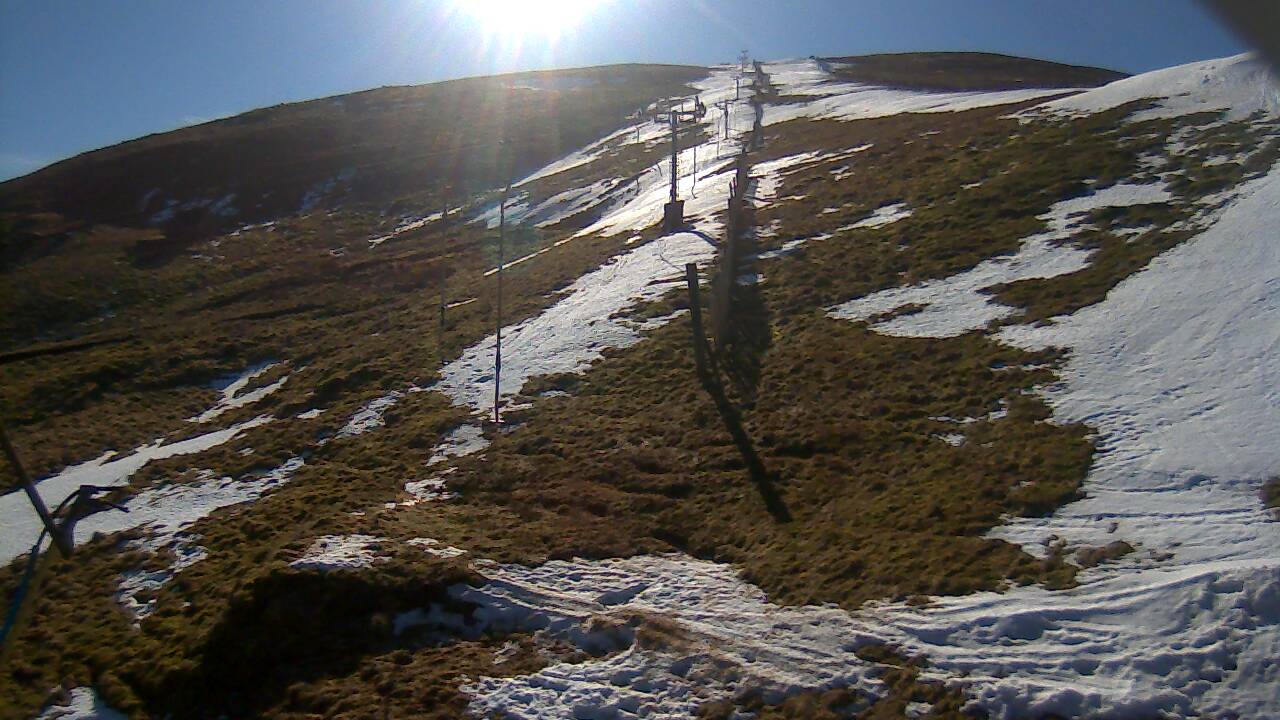 Image from 2022/03/01 for Tow Hut