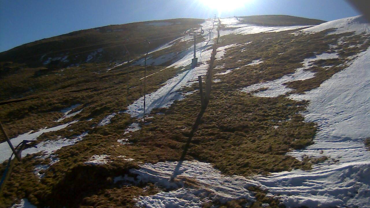 Image from 2022/03/01 for Tow Hut