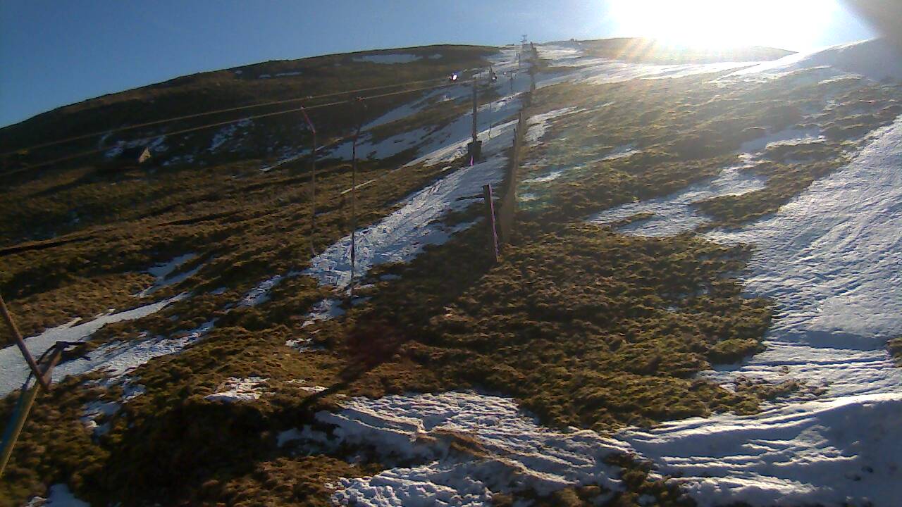 Image from 2022/03/01 for Tow Hut