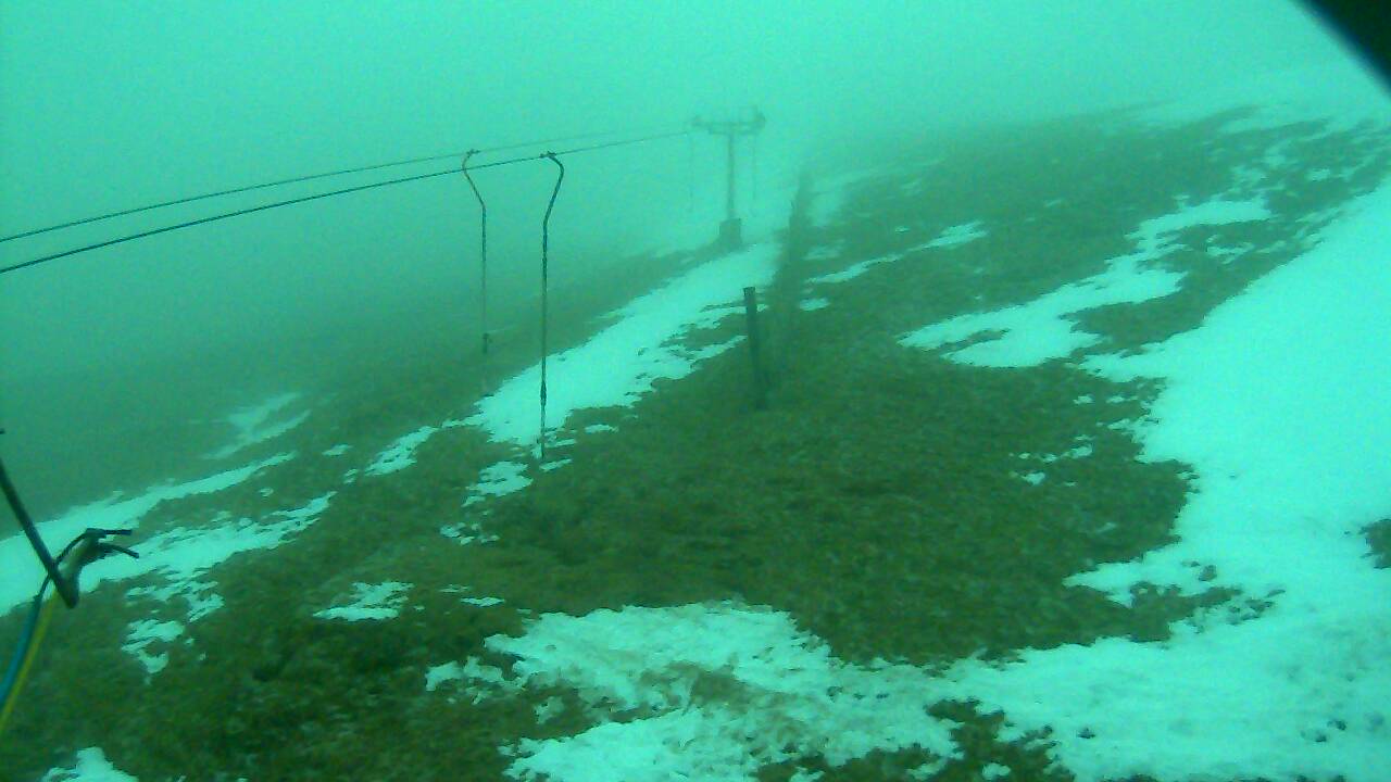 Image from 2022/03/02 for Tow Hut