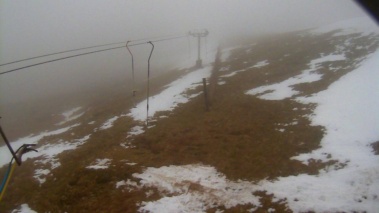 Image from 2022/03/02 for Tow Hut