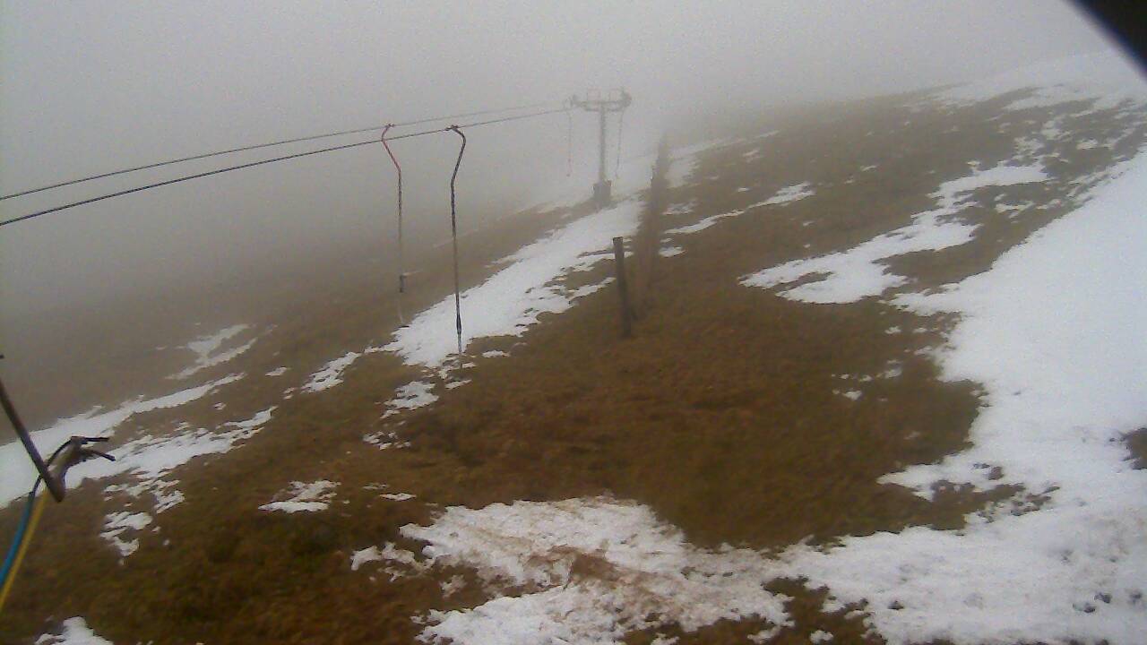 Image from 2022/03/02 for Tow Hut