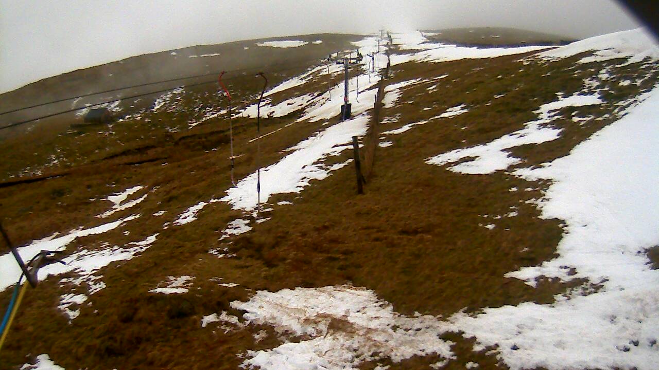 Image from 2022/03/02 for Tow Hut