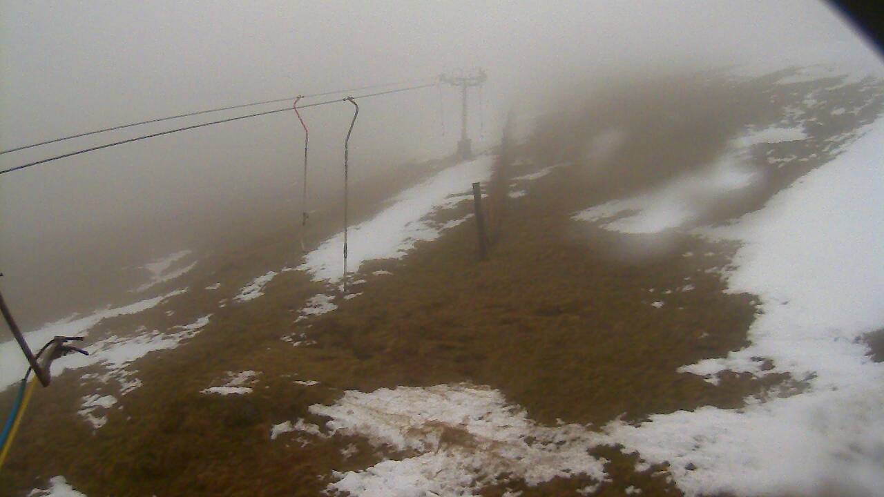 Image from 2022/03/02 for Tow Hut