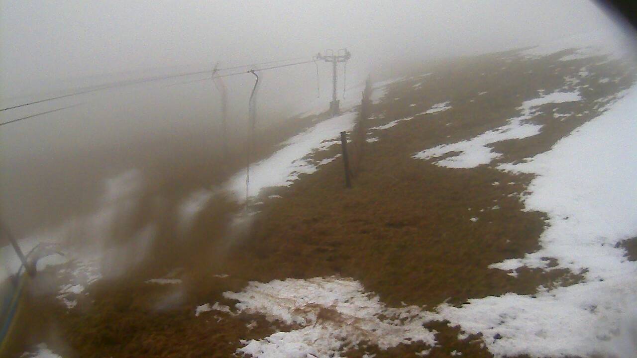 Image from 2022/03/02 for Tow Hut