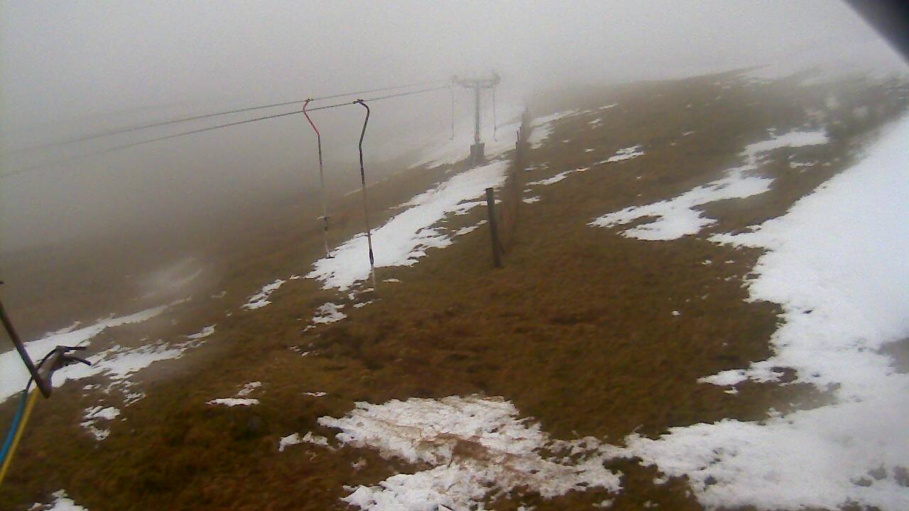 Image from 2022/03/02 for Tow Hut