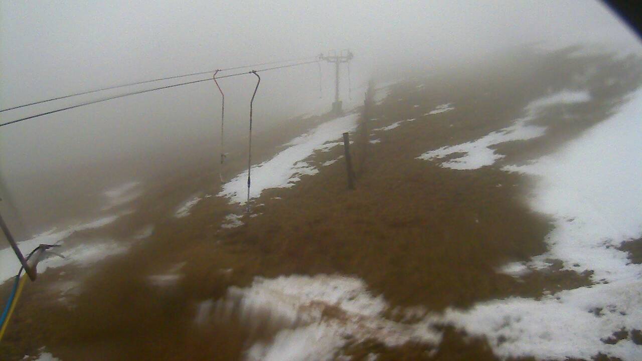 Image from 2022/03/02 for Tow Hut