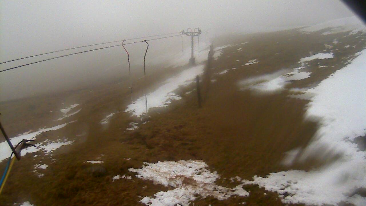 Image from 2022/03/02 for Tow Hut