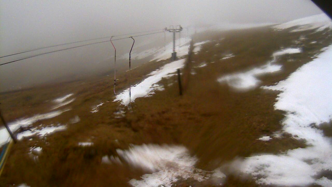 Image from 2022/03/02 for Tow Hut