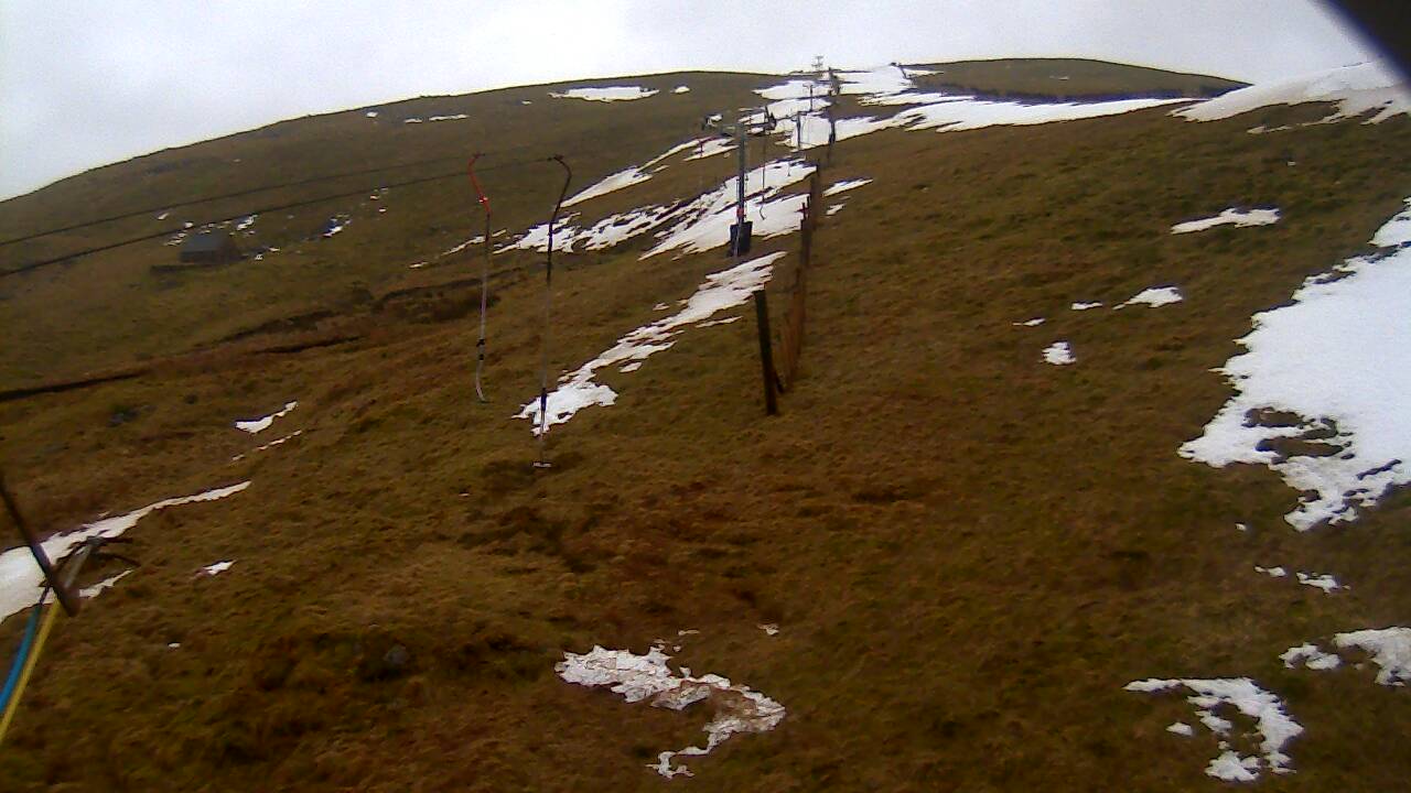 Image from 2022/03/03 for Tow Hut