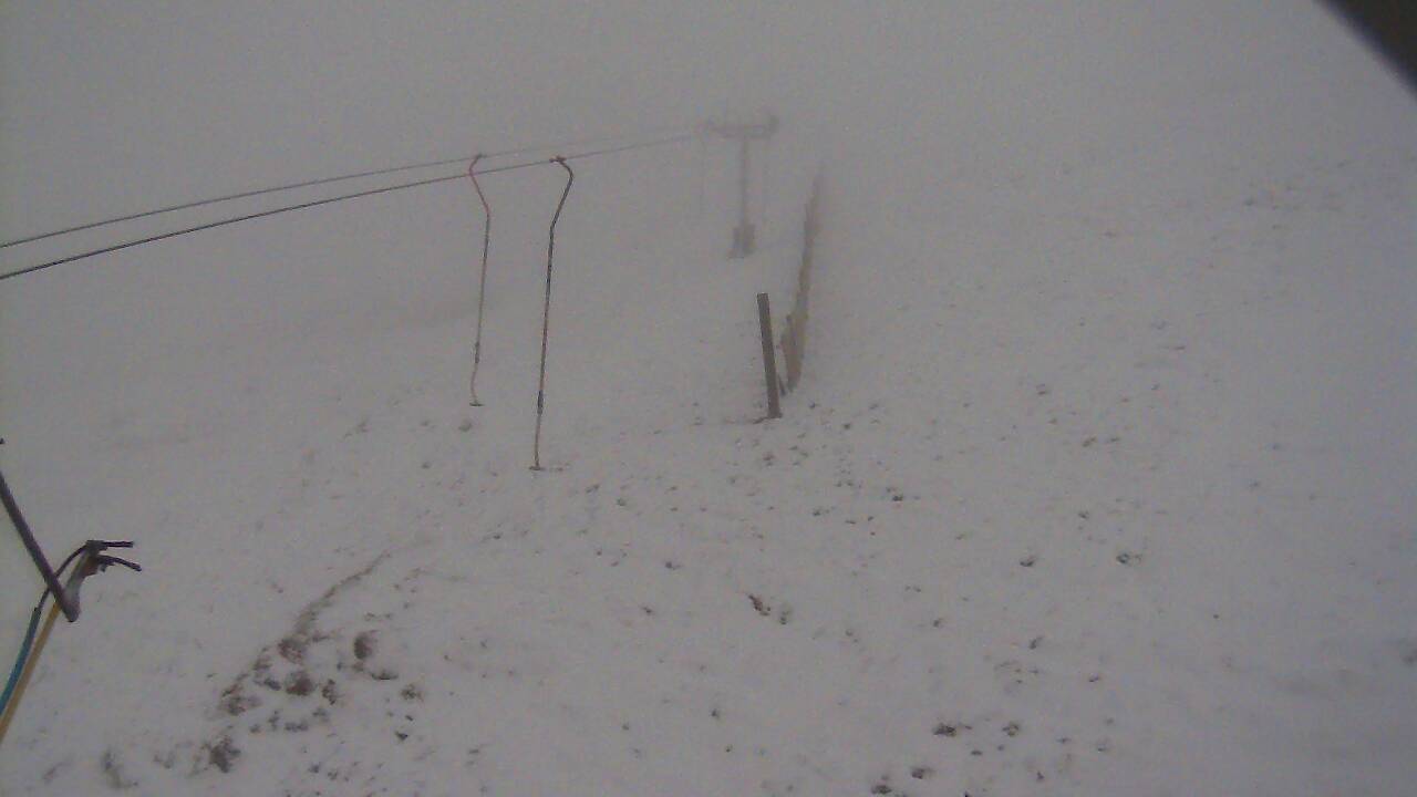 Image from 2022/03/04 for Tow Hut