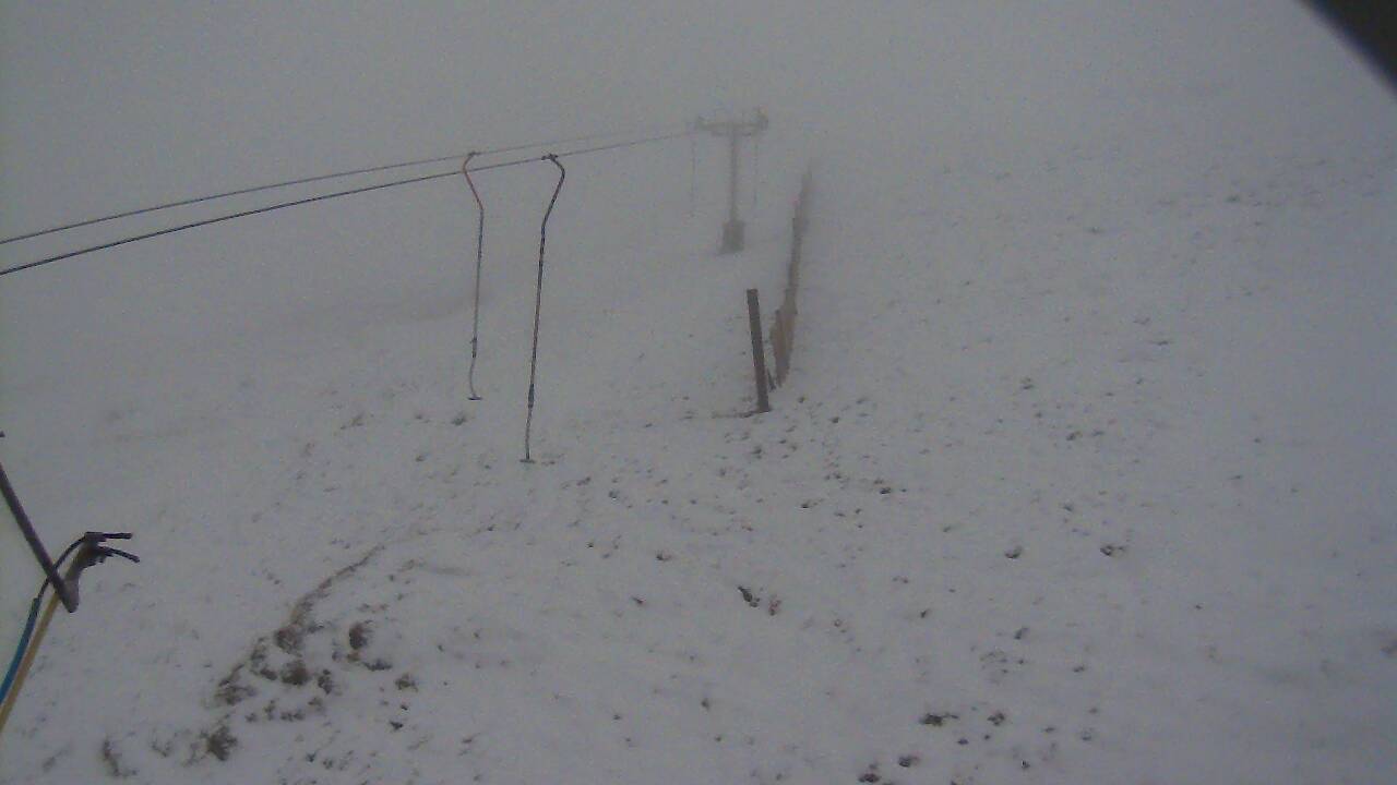 Image from 2022/03/04 for Tow Hut