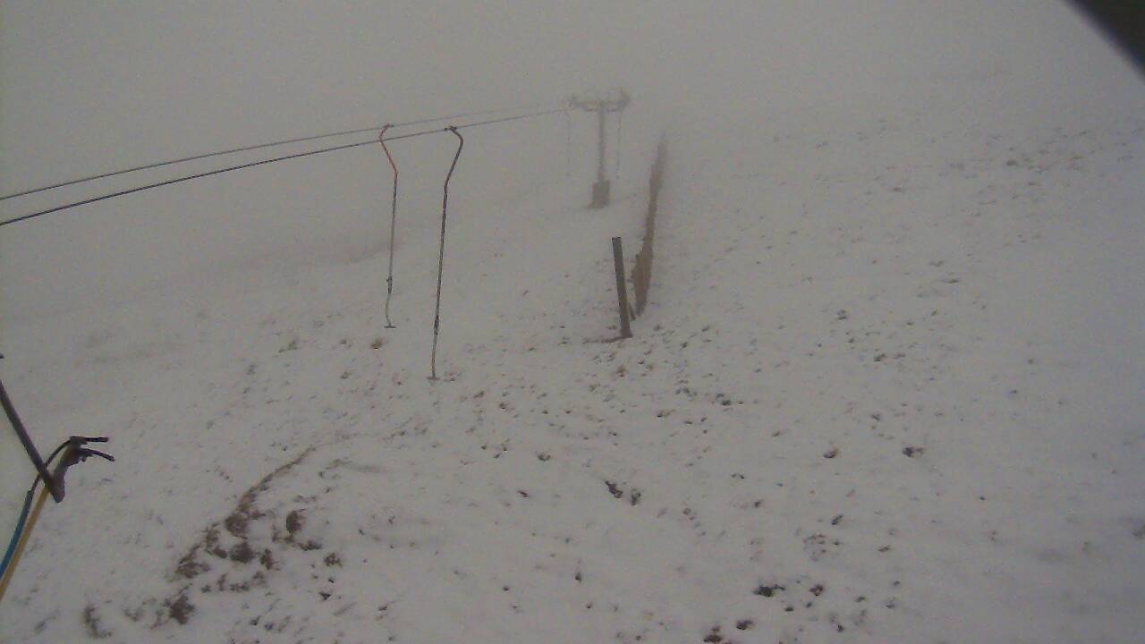 Image from 2022/03/04 for Tow Hut