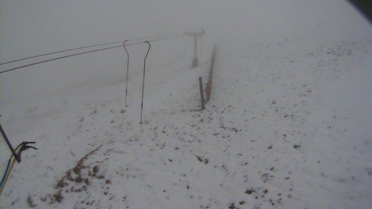 Image from 2022/03/04 for Tow Hut