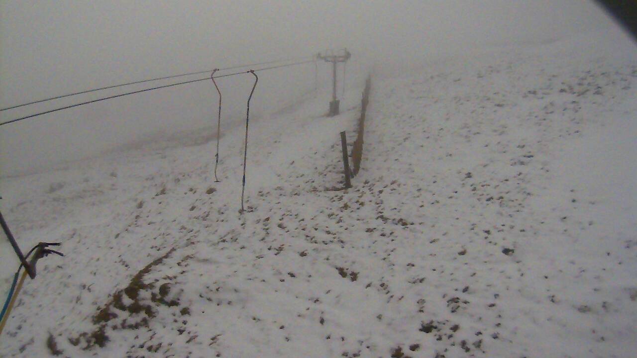 Image from 2022/03/04 for Tow Hut