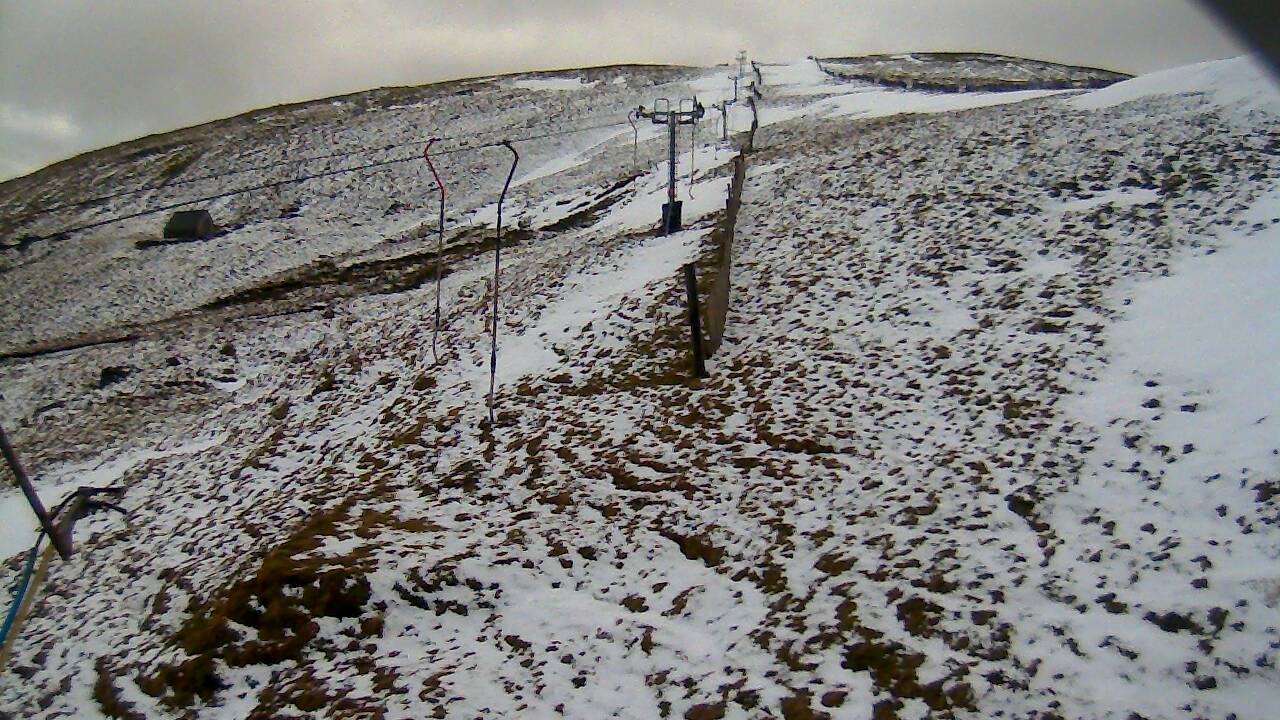 Image from 2022/03/04 for Tow Hut