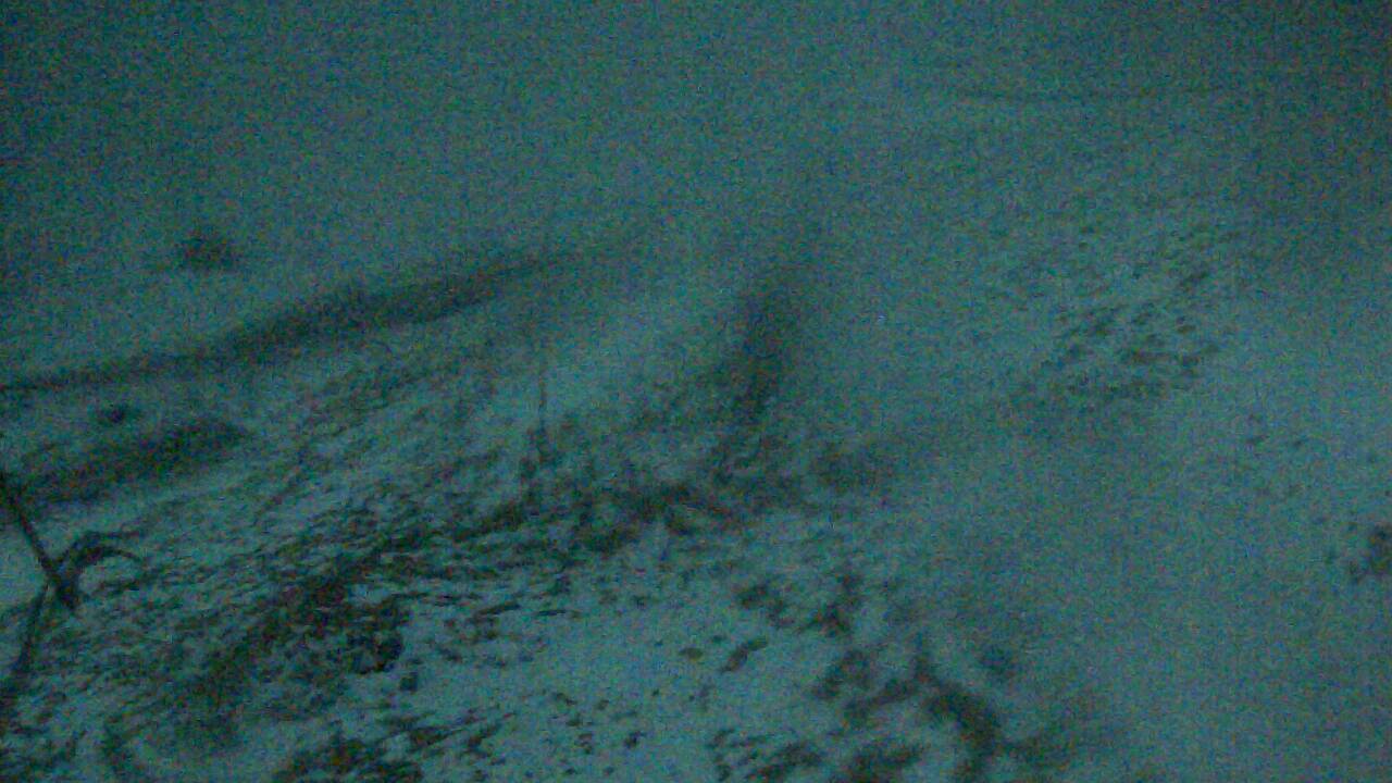 Image from 2022/03/06 for Tow Hut