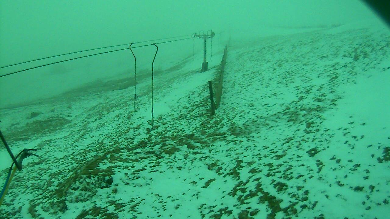 Image from 2022/03/06 for Tow Hut