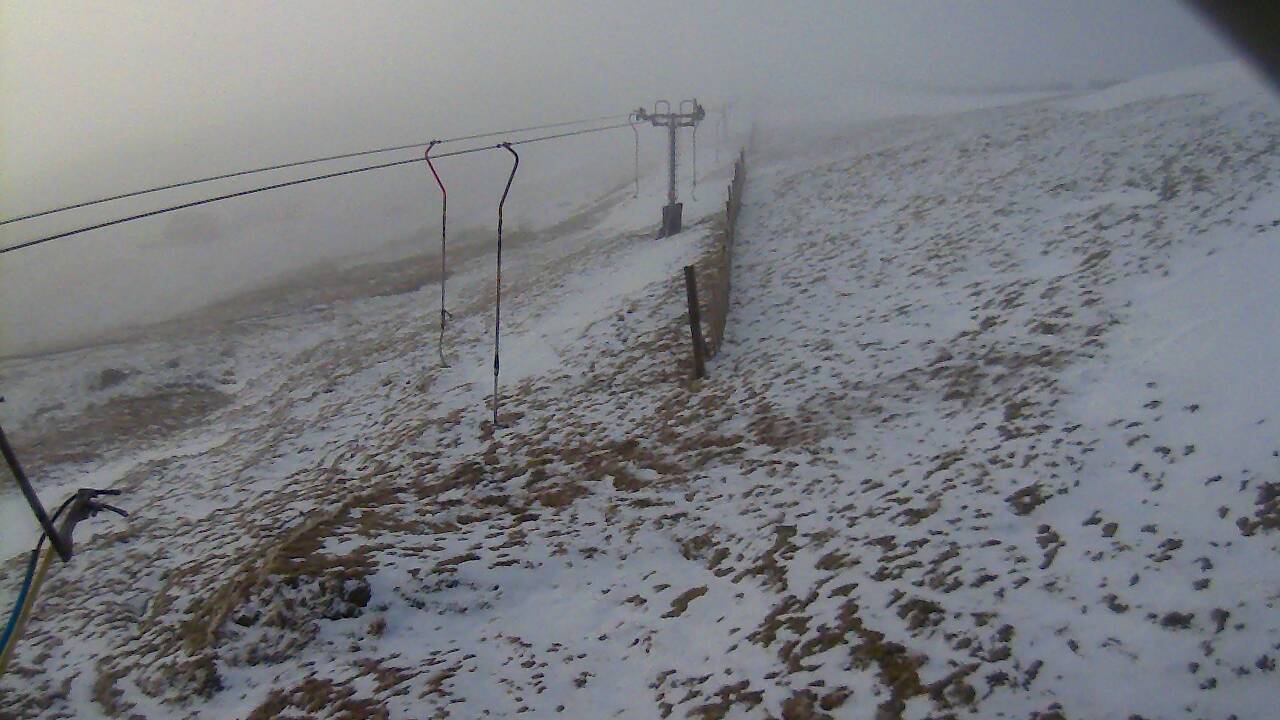 Image from 2022/03/06 for Tow Hut