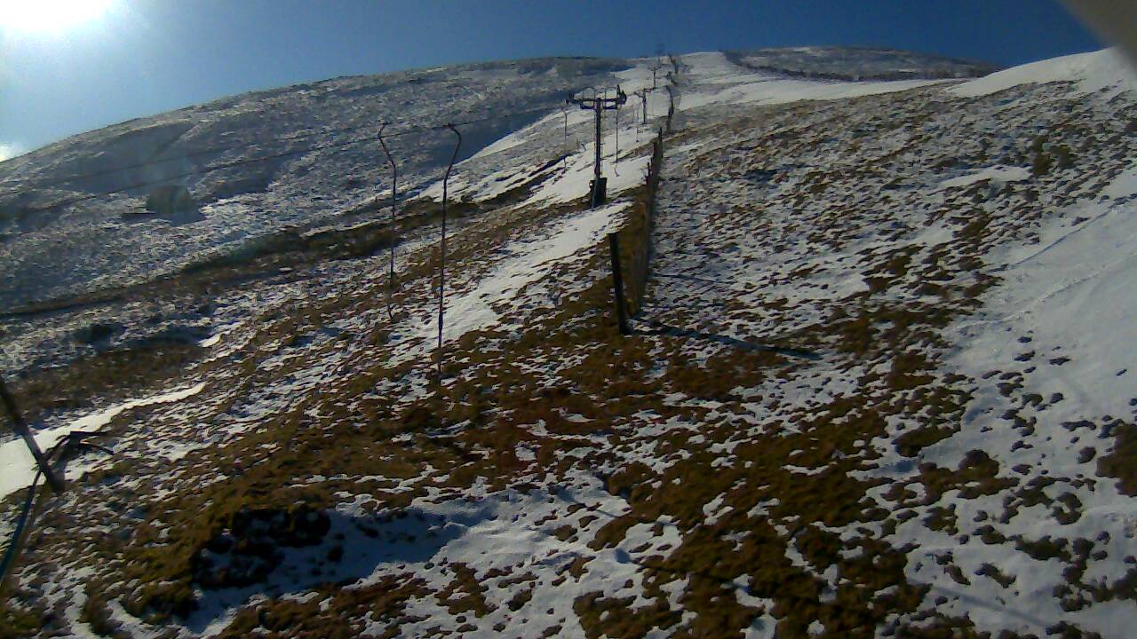 Image from 2022/03/07 for Tow Hut