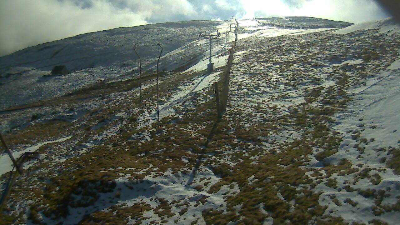 Image from 2022/03/07 for Tow Hut