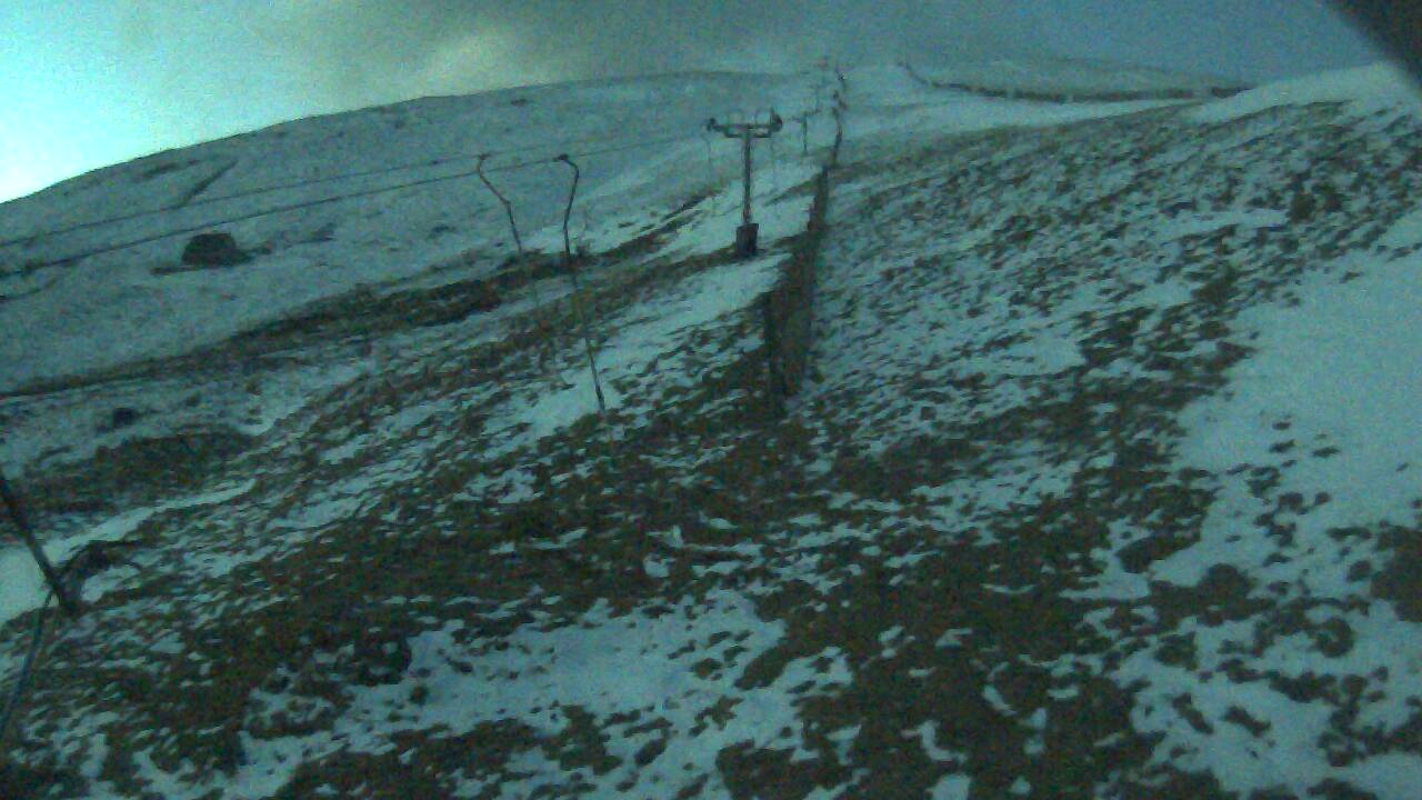 Image from 2022/03/08 for Tow Hut