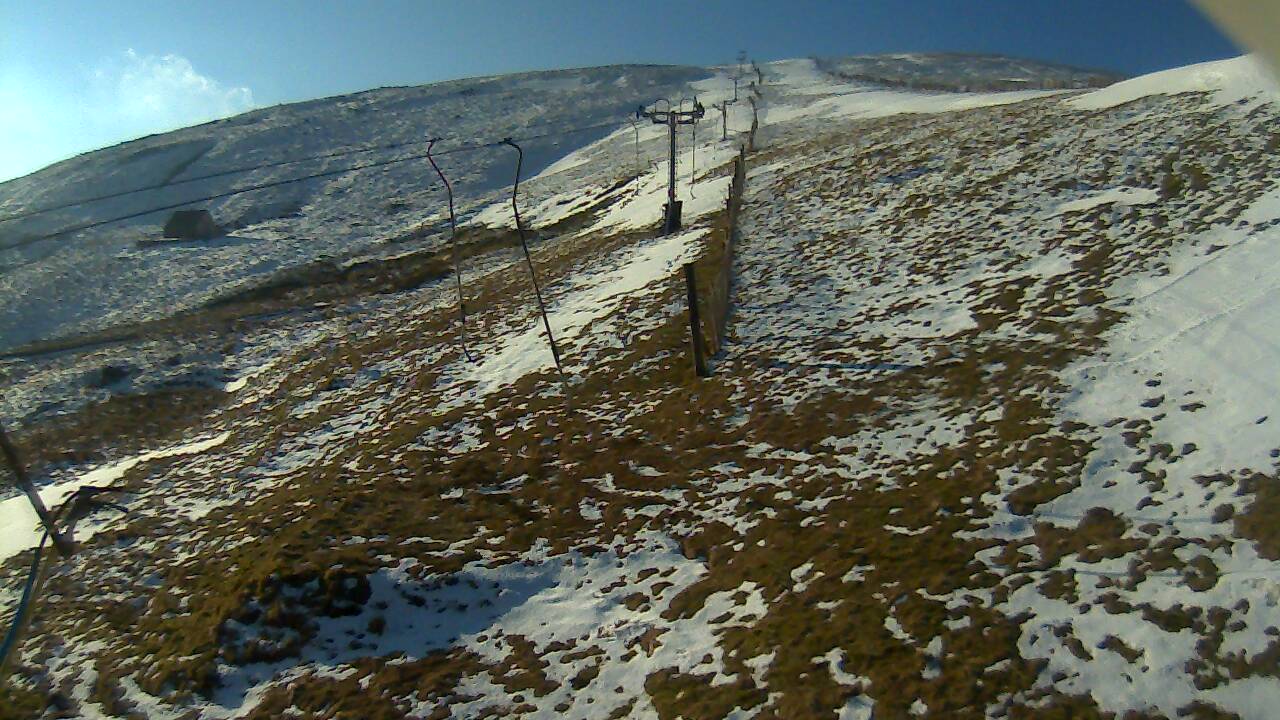 Image from 2022/03/08 for Tow Hut