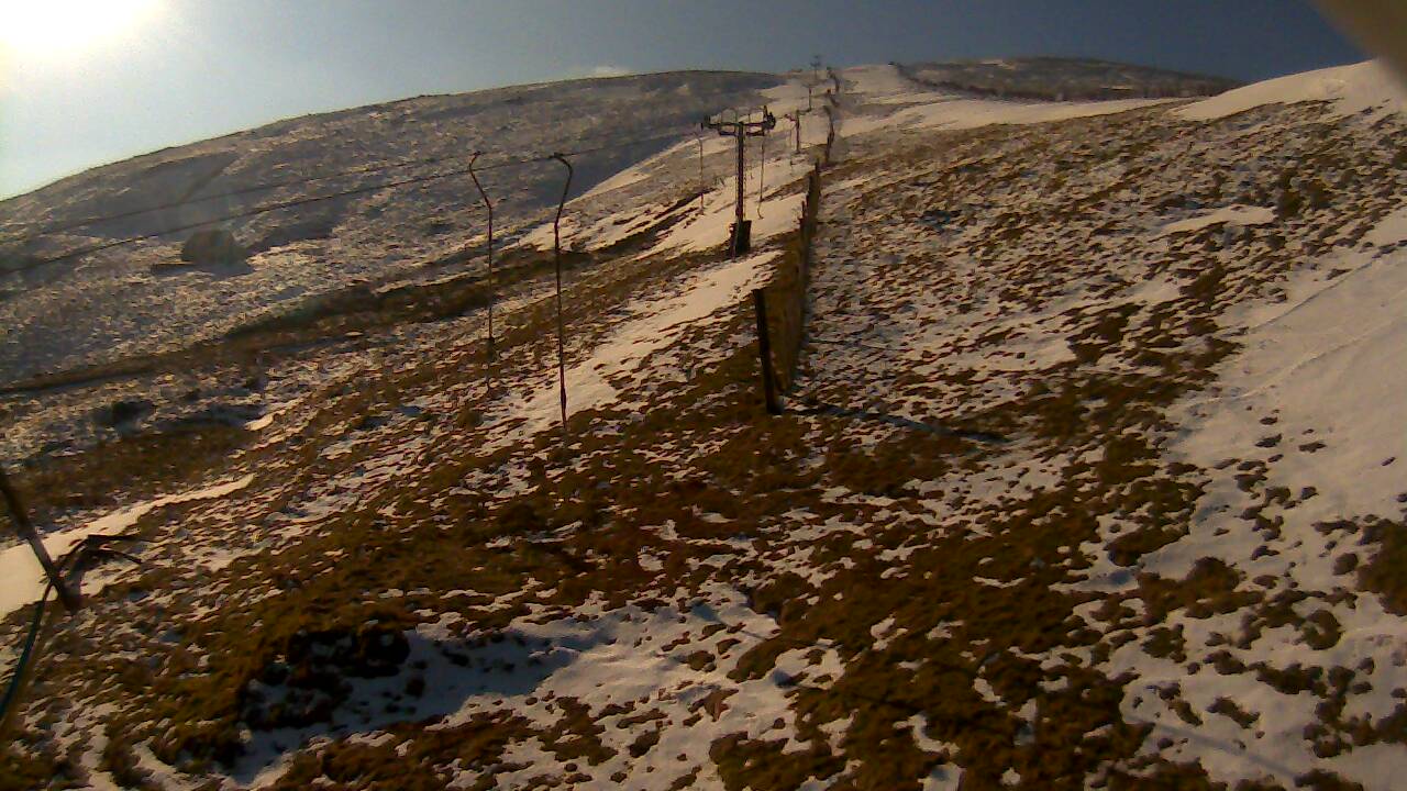 Image from 2022/03/08 for Tow Hut