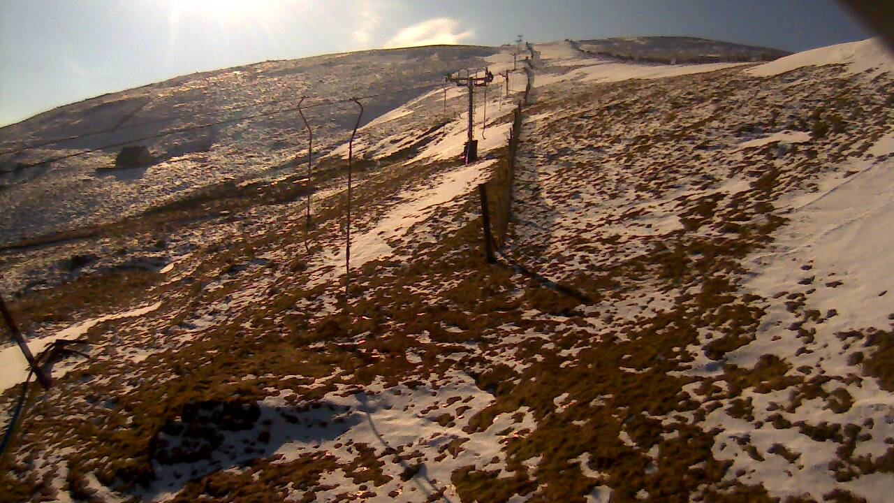 Image from 2022/03/08 for Tow Hut