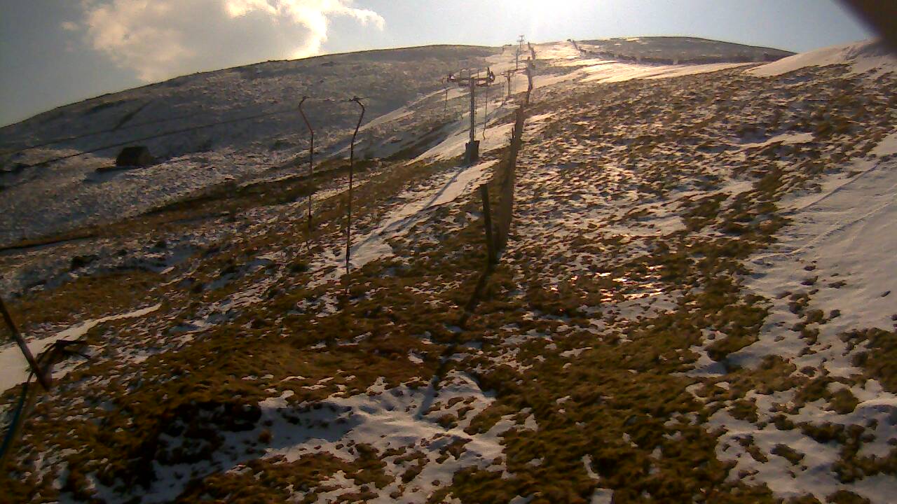 Image from 2022/03/08 for Tow Hut