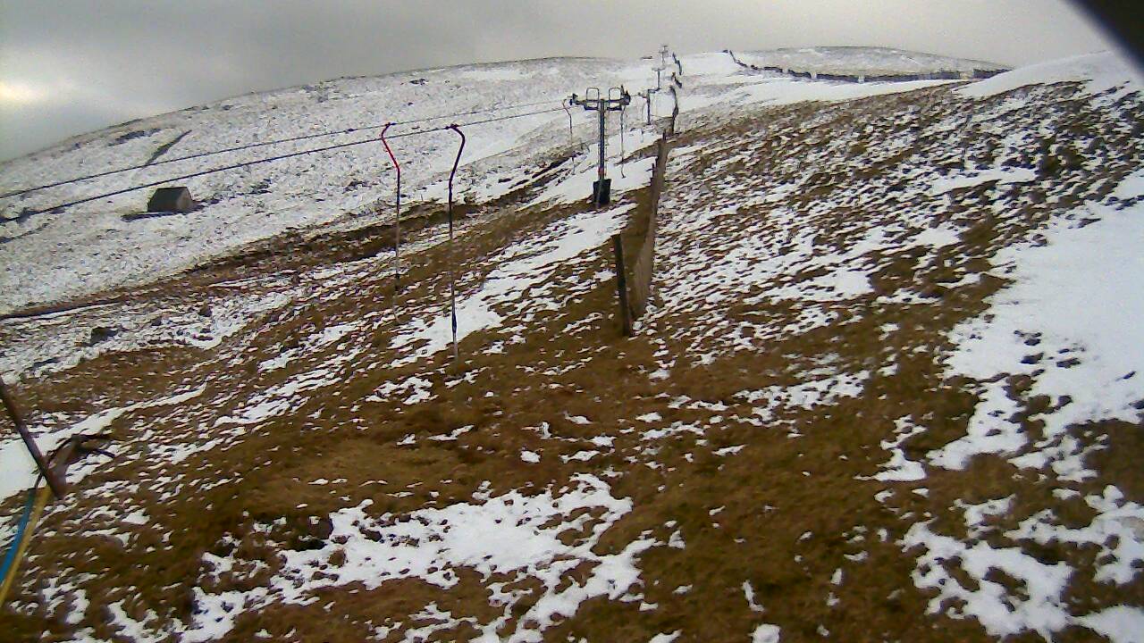 Image from 2022/03/08 for Tow Hut