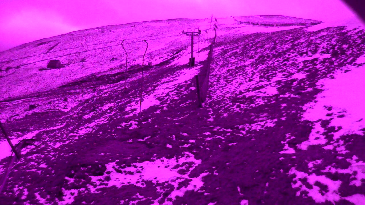 Image from 2022/03/08 for Tow Hut