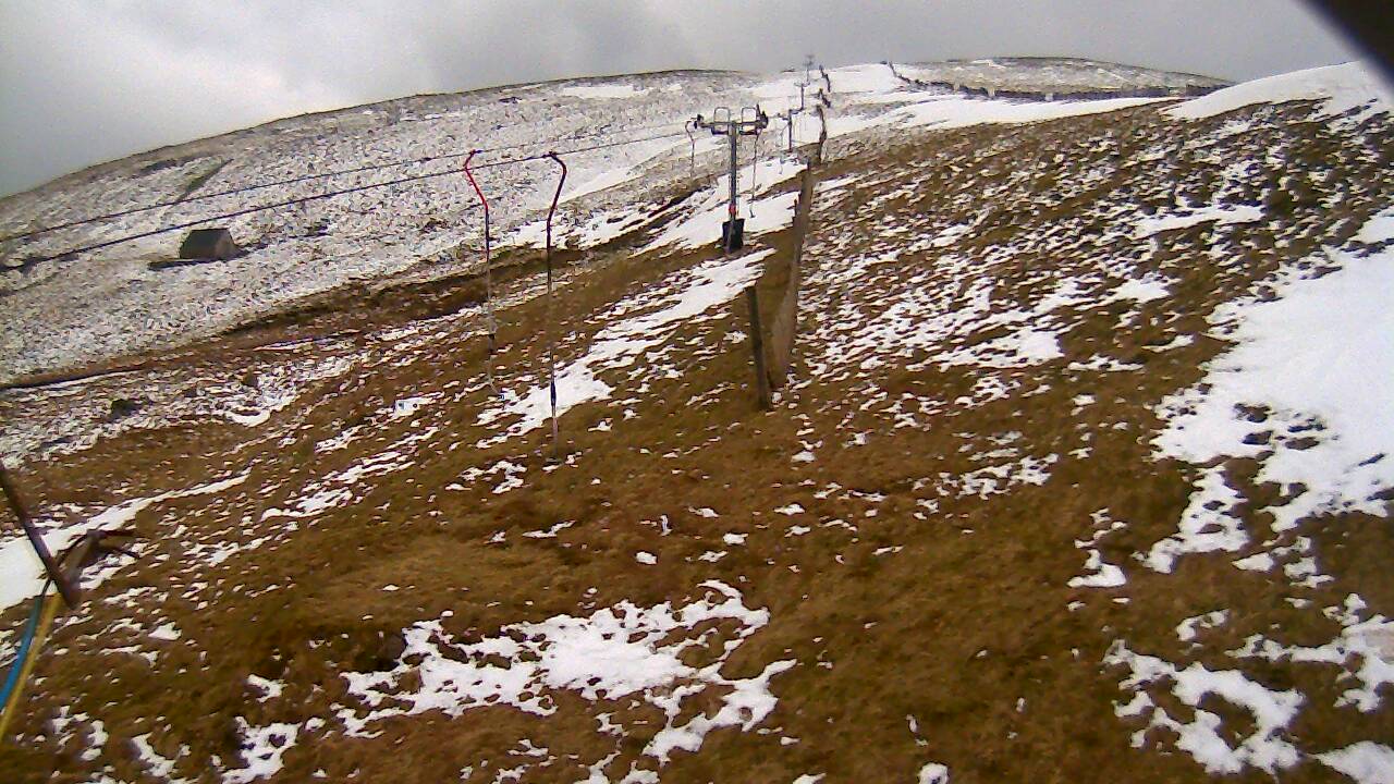 Image from 2022/03/08 for Tow Hut