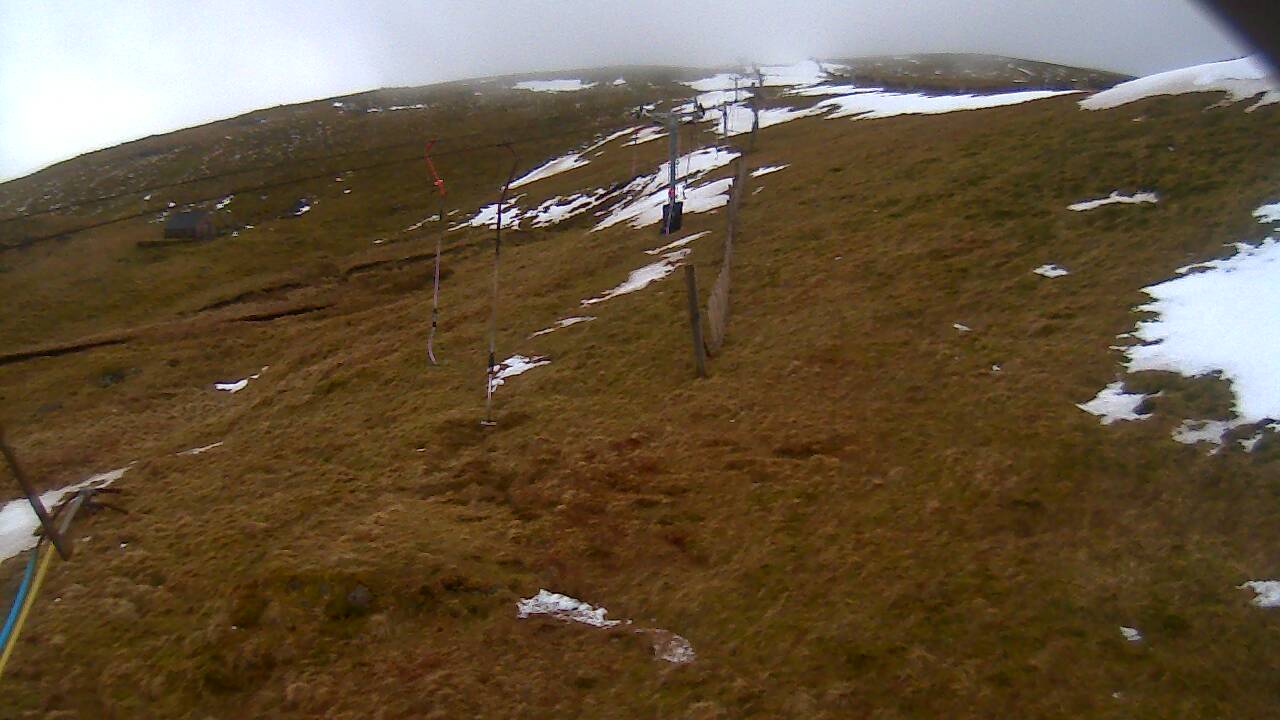 Image from 2022/03/09 for Tow Hut