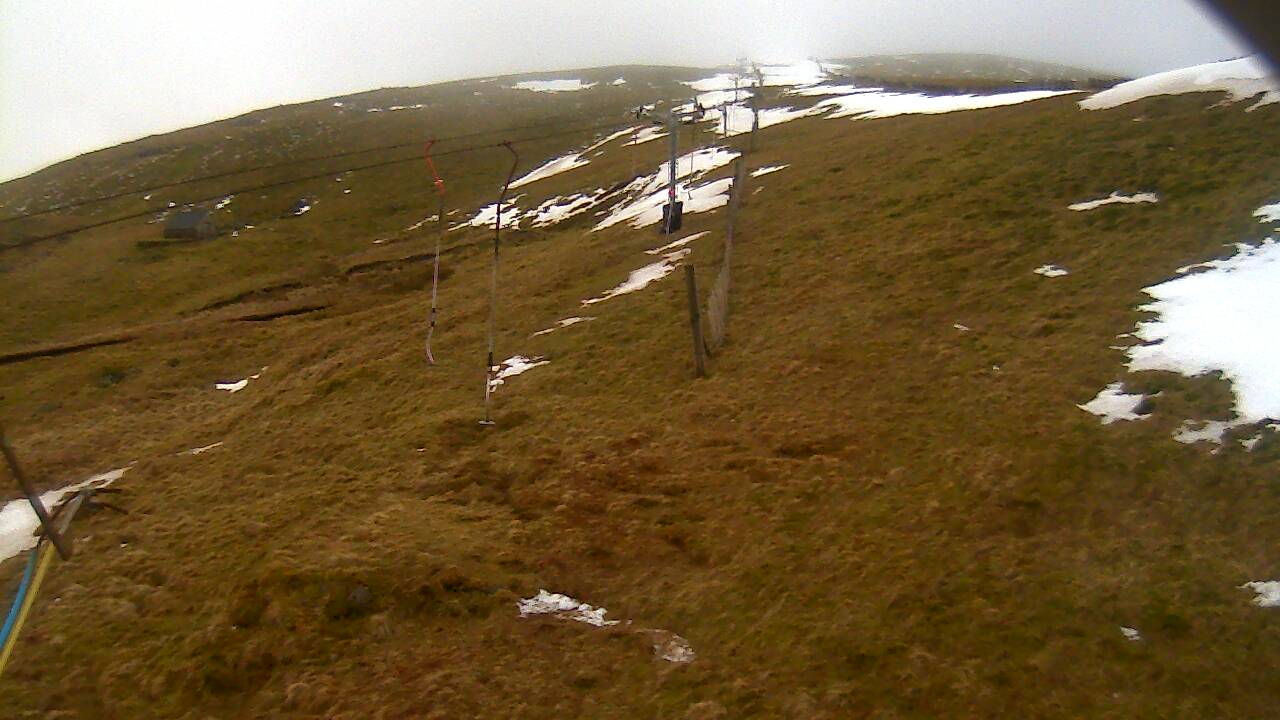 Image from 2022/03/09 for Tow Hut