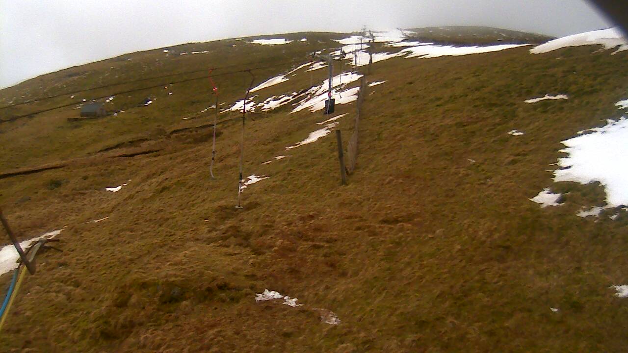 Image from 2022/03/09 for Tow Hut