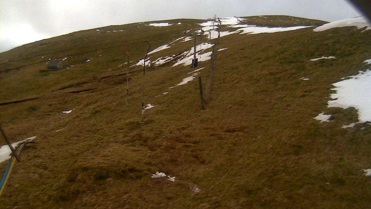 Image from 2022/03/09 for Tow Hut