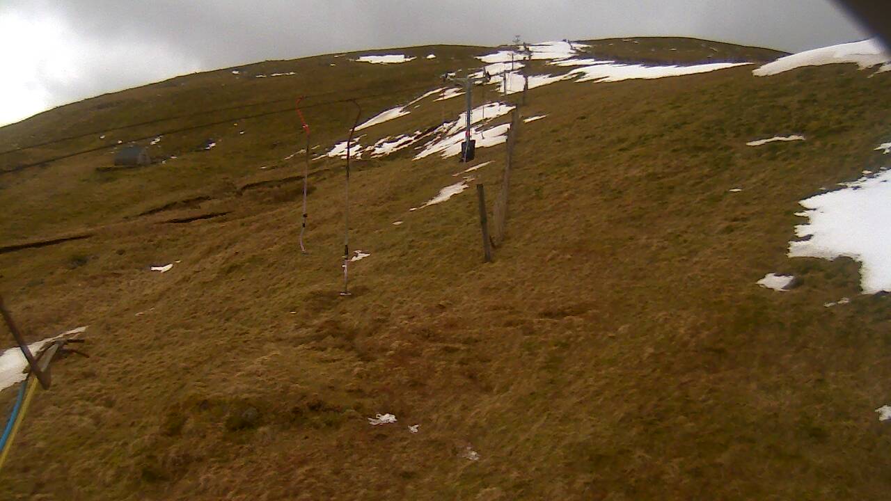 Image from 2022/03/09 for Tow Hut