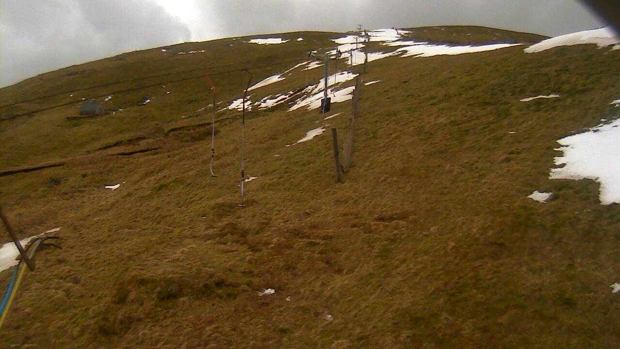 Image from 2022/03/09 for Tow Hut