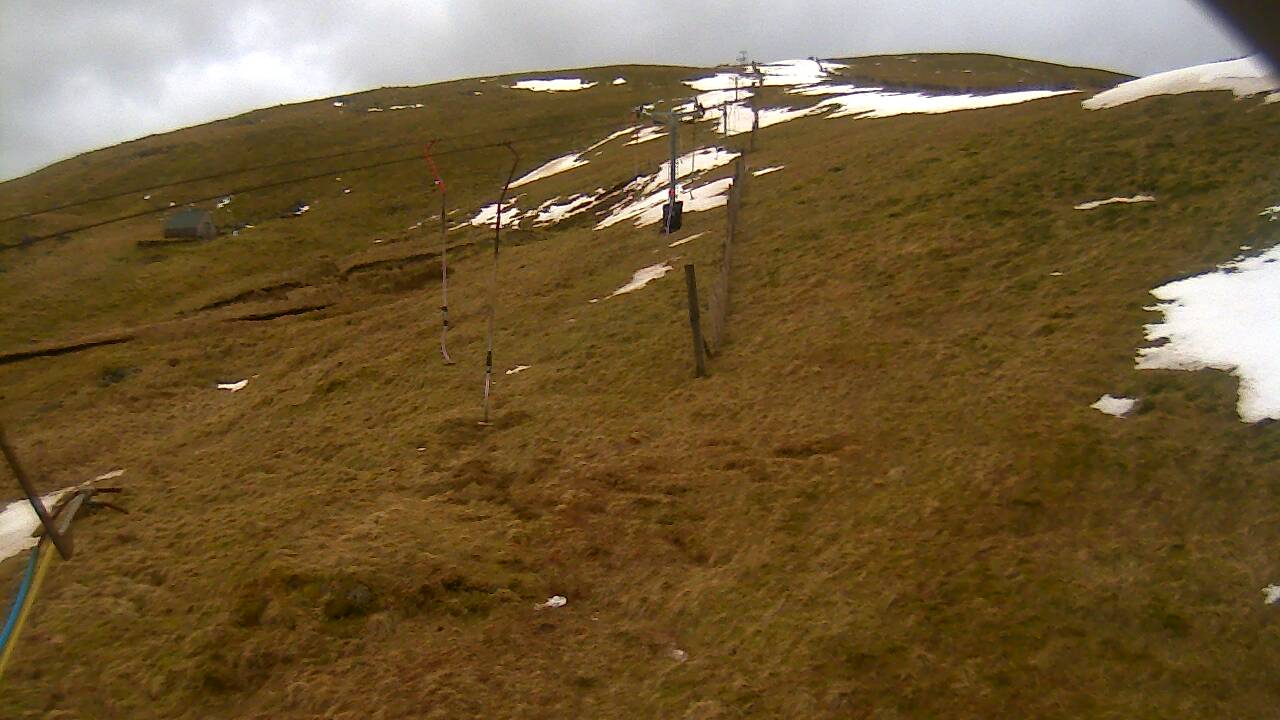 Image from 2022/03/09 for Tow Hut