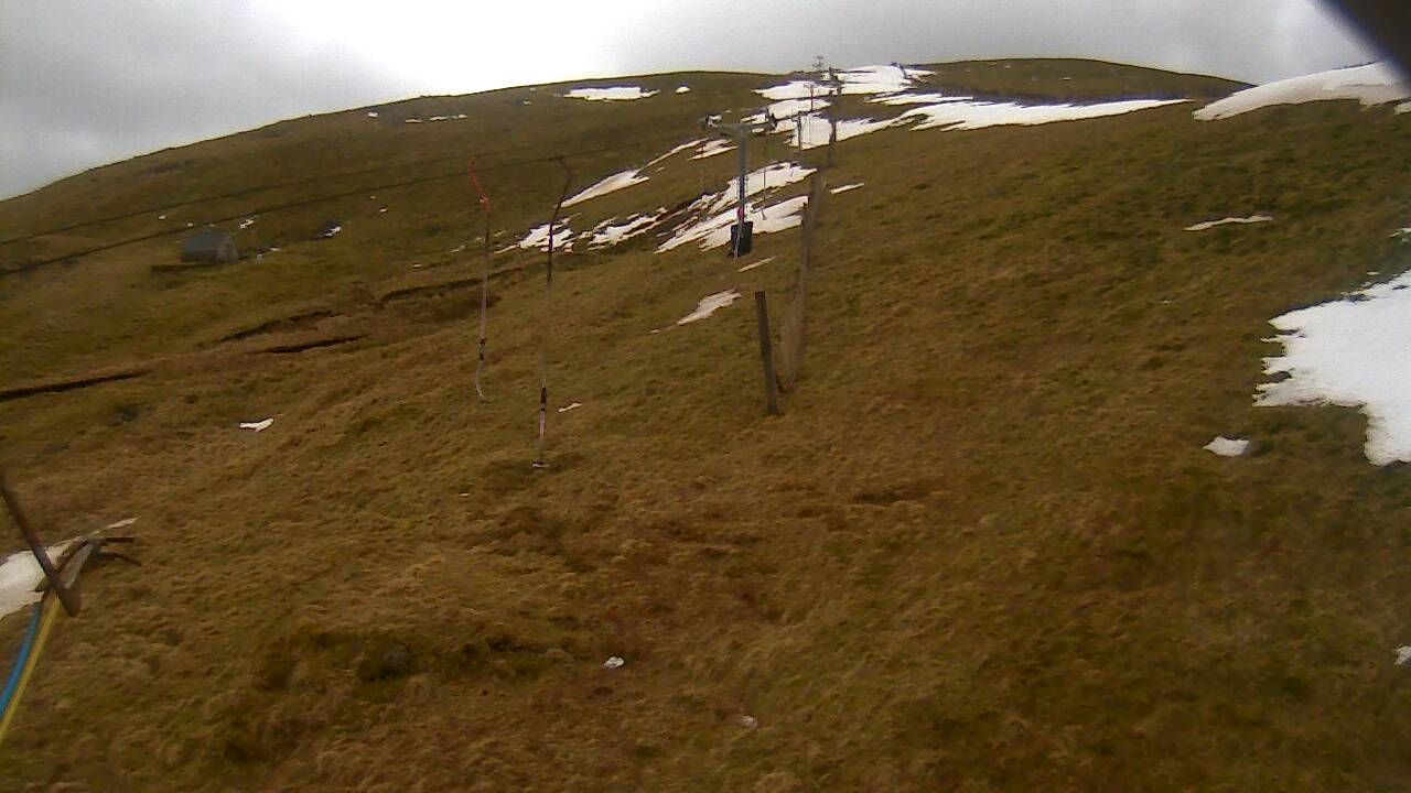 Image from 2022/03/09 for Tow Hut