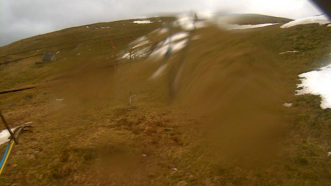 Image from 2022/03/09 for Tow Hut