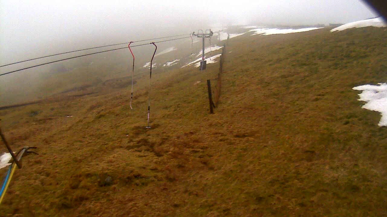 Image from 2022/03/10 for Tow Hut